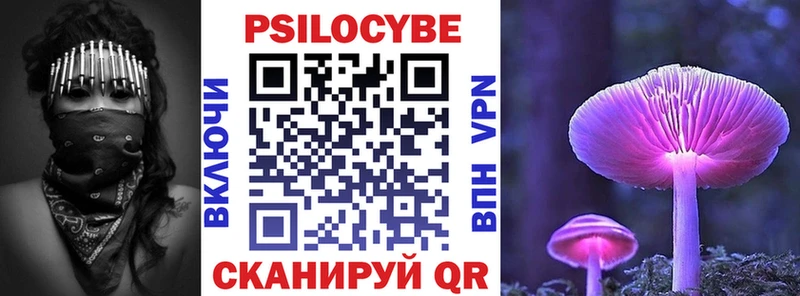 KRAKEN вход  Кологрив  Псилоцибиновые грибы Magic Shrooms 