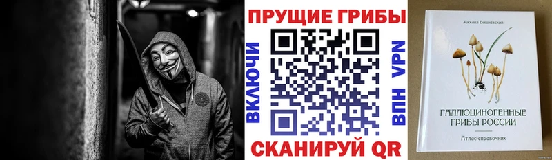 Псилоцибиновые грибы мухоморы Кологрив